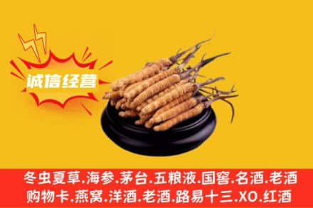 磁县回收冬虫夏草